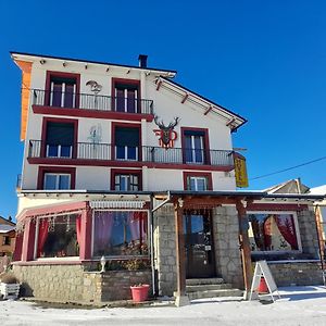 Le Catalan - Hôtel et appartements